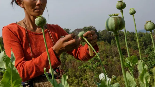 ဘိန်းစေးခြစ်နေသူ အမျိုးသမီးတစ်ဦး