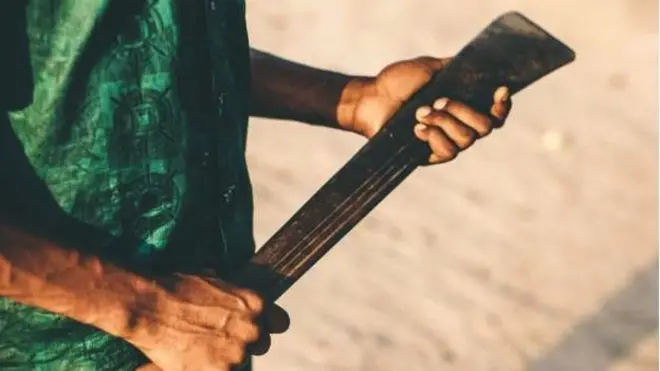 ጎዞመ ዝሓዘ ሰብ