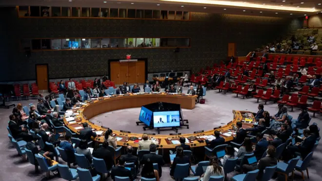 مجلس الأمن الدولي 