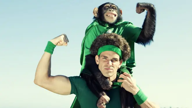 Chimpancé y hombre.