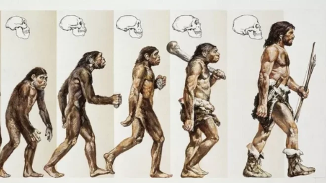 نظریہ ارتقا