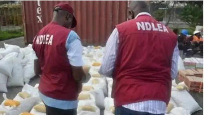 Awọn oṣiṣẹ ajọ NDLEA meji kọyin si kamẹra, wọn wọ aṣọ to ni akọle ajọ naa le ori aṣọ ti wọn wọ tẹlẹ. Awọn apo oogun oloro kunlẹ kitikiti bawọn ọkunrin oṣiṣẹ meji naa ṣe n ṣe akọsilẹ wọn ninu aworan yii.