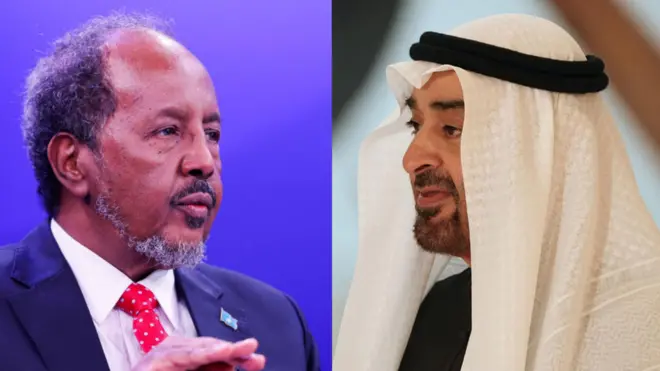 सोमालिया और यूएई