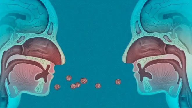 कोरोनाभाइरस