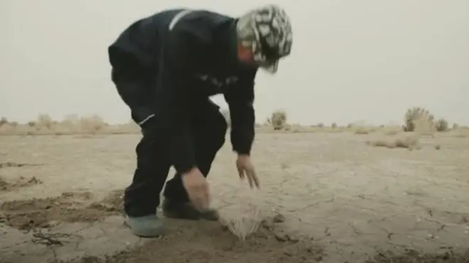 Орол тубида саксовул экиш