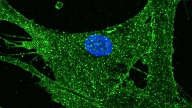 ናይ ጓል 53 ዓመት ቈርበት ገፅ 23 ዘምስል ቴክኖሎጂ