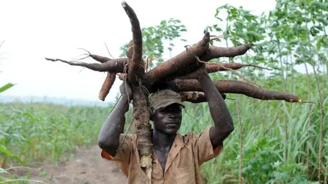 Ọtụtụ ihe ka a na-akọ ugbua dịka akpụ, ede, ọka na ihe ndị ọzọ