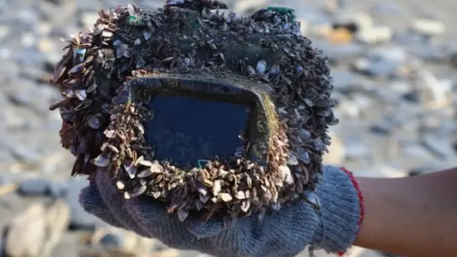 Kamera itu terdampar di sebuah pantai di Taiwan yang tertutup teritip dan nyaris tak dapat dikenali.