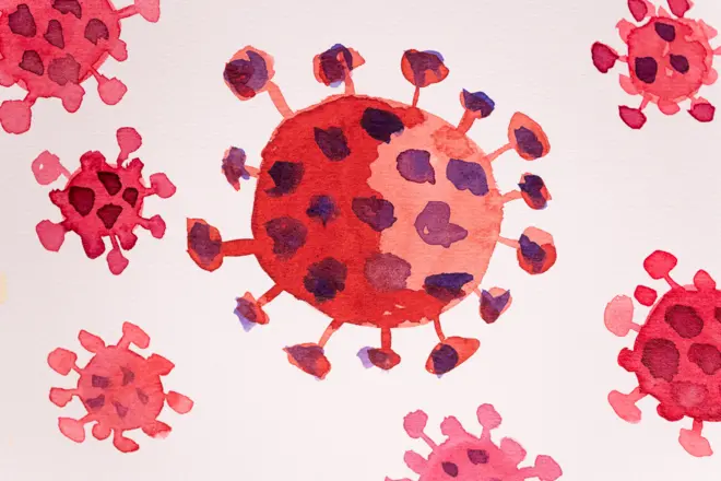Virus corona