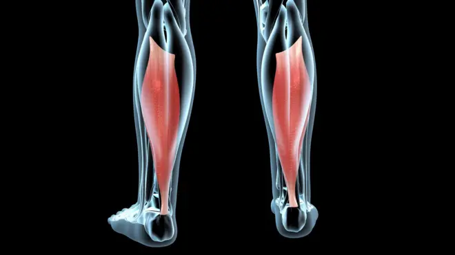 علامتی تصویر