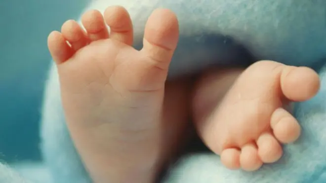 డీఎన్ఏ, పరిశోధనలు, మైటోకాండ్రియా