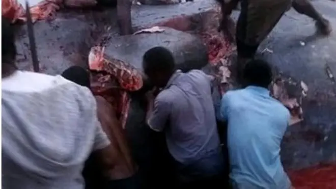 Tori be say dem don dey butcher di whale since Sunday