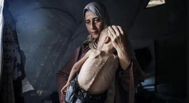 Mohamed Zakariya Ayyoub al-Matouq,