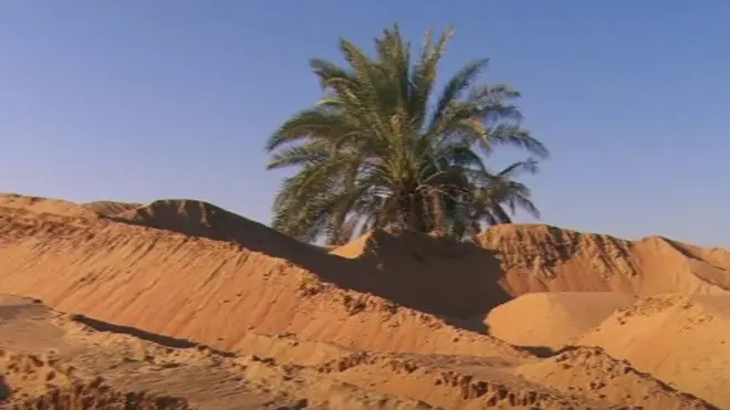 ليكويد نانو كلاي ( Liquid NanoClay) أو الطين المصنّع، هي تقنية زراعية جديدة تساعد في تحويل الصحراء إلى أراض خصبة للزراعة خلال سبع ساعات فقط ويجرى تجبرتها في الإمارات.