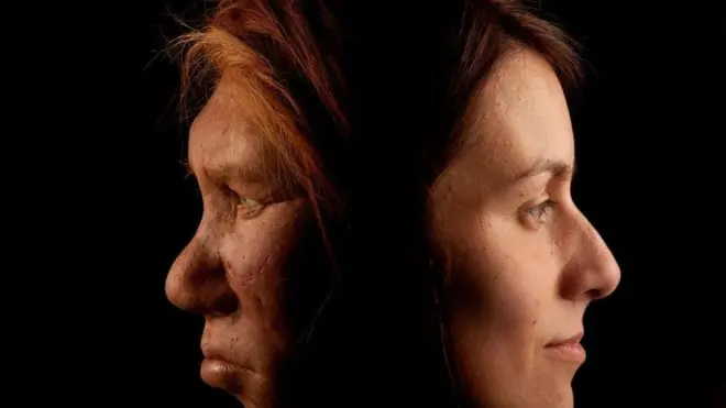 Breeding with Homo sapiens fit be wetin wipe Neanderthals out, one new study suggests