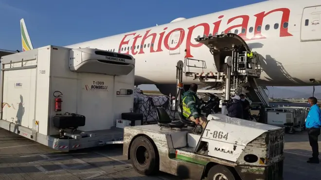 ክታበት ኮቪድ-19፡ ሎሚ ኣዲስ ኣበባ ኣትዩ