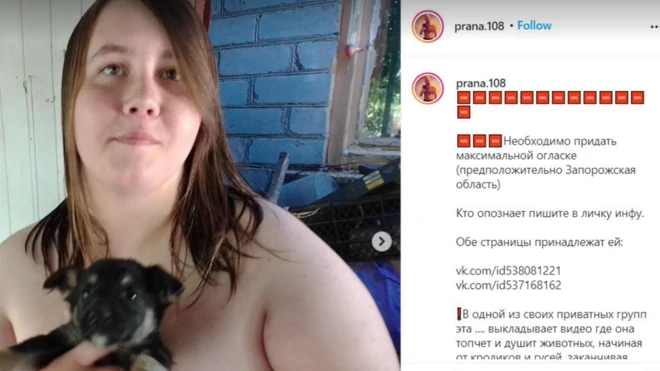 На сполох першими забили активісти: вони знайшли в соцмережах жінку, яка знімала знущання над тваринами на відео