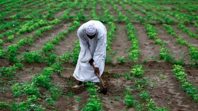 Anga'oonni Sudaan Al-Faashqaan lafa Sudaaniiti jechuun irra deddeebiin dubbatu