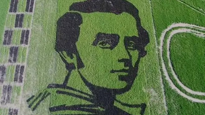 рисовий портрет Шевченка