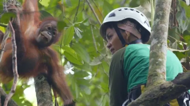 Чтобы научить малыша, нужно сперва научиться самой