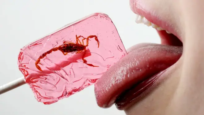 อาหารจากแมลง