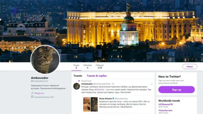 У кота Амбассадора з'явився акаунт у Twitter