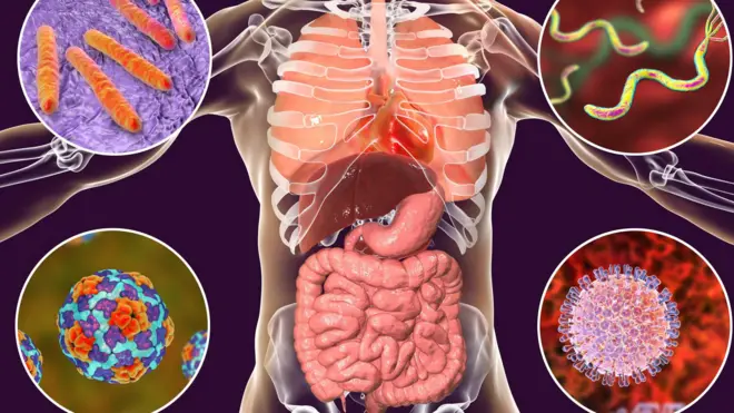 تصویرسازی از درون بدن انسان