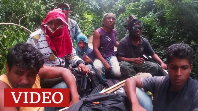 Guardianes del Amazonas