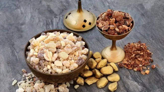 Dhirta xabagta iyo malmalka