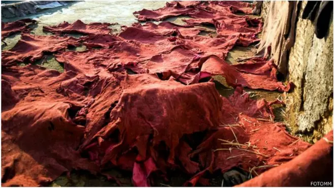 Le commerce des peaux d'ânes, de chameaux et de chevaux entraîne une "surexploitation" de ces espèces, selon le gouvernement burkinabè.