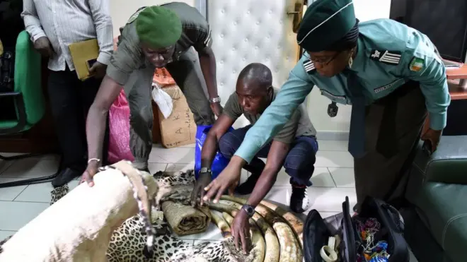 Les douaniers ont arrêté ces produits cachés par un trafiquant