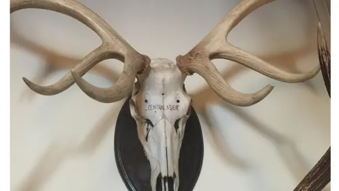 Т. Сарлыкбек уулу: Бул туура эмес. Менин оюмча, муну менен өзүңдүн мекендешиңди атып жатасың, бул жерде адам же жаныбардын айырмасы жок. Баарыбыз мына ошол Ала-Тоонун жашоочуларыбыз, мекендешпиз. Ошон үчүн аңчылык бизнеси токтотулуш керек.