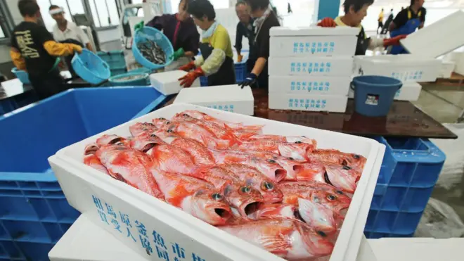 ชาวประมงนำปลาที่จับมาได้ 50 ก.ม. จากชายฝั่งของท่าเรือโซมะ จ.ฟุกุชิมะ เพื่อรอตรวจเช็คประมาณสารกัมมันตรังสี ในปี 2013