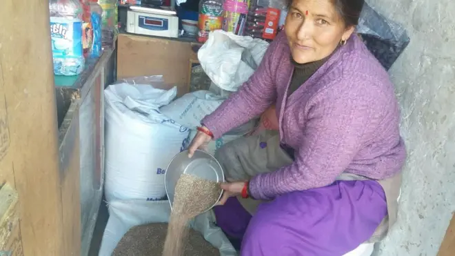 मार्सी चामल