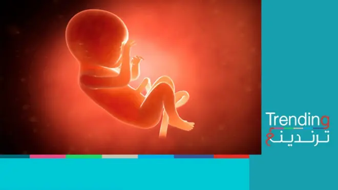 مواجهات بين جمهور كرة القدم والشرطة تكشف أجنة مدفونة في أصيص زرع على سطح عيادة طبية