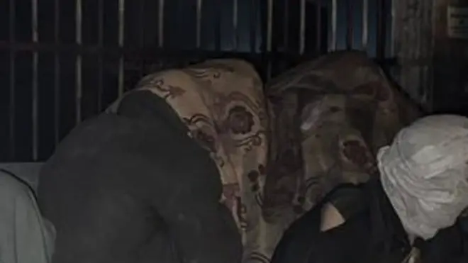 د طالبانو د کورنیو چارو وزارت وايي، کابل کې یې یوشمېر په نشه روږدي کسان راټول او د درملنې لپاره اړوندو روغتونونو ته استولي دي.