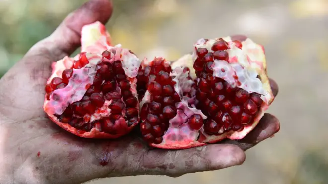 ډېری افغان کرنیز توکي د نورو هېواونو په نامه نړیوال بازار کې خرڅېږي