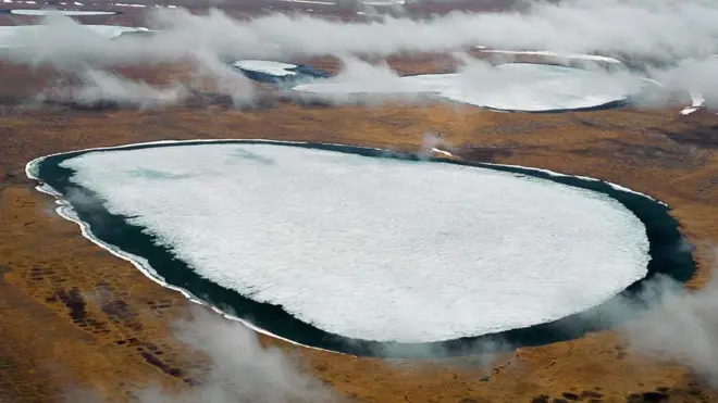 buzullarda saklı mikroplar