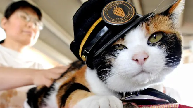 После назначения Тамы на пост начальника станции дела на железнодорожной ветке пошли в гору