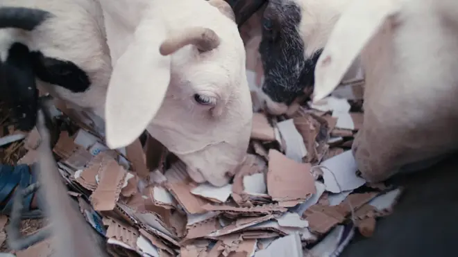 Ubushuhe muri Mauritania