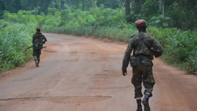 Des éléments de l'ex-Seleka en 2013