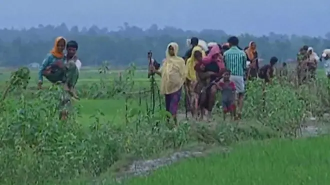 اليوم العالمي للاجئين: أرقام وحقائق