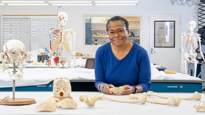 ፌቢ ስታብልፊል