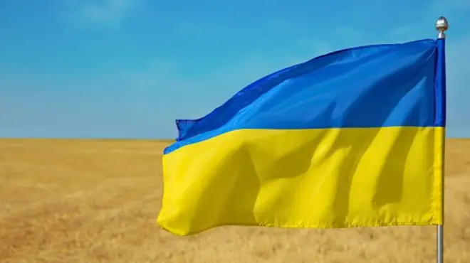 зерно і прапор