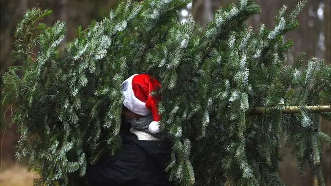 Коли купуєте ялинку варто подумати й про її безпечне розміщення вдома
