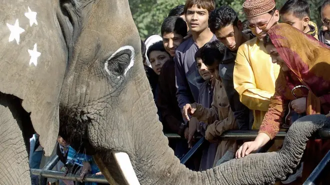 عمر بڑھنے کے ساتھ سوزی کا موٹاپا بھی بڑھ گیا