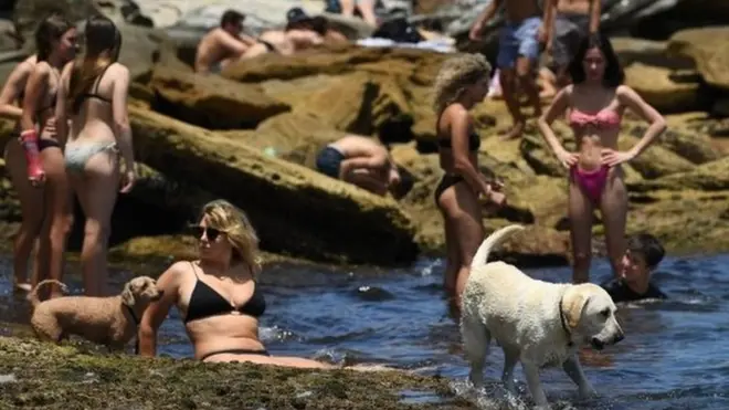 دائرة الصحة حثت الناس على الالتزام بقواعد التباعد الاجتماعي