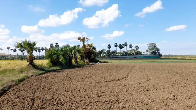 မုံရွာတစ်ဖက်ကမ်း ဒုန်းတောရွာအနီးမြင်ကွင်း