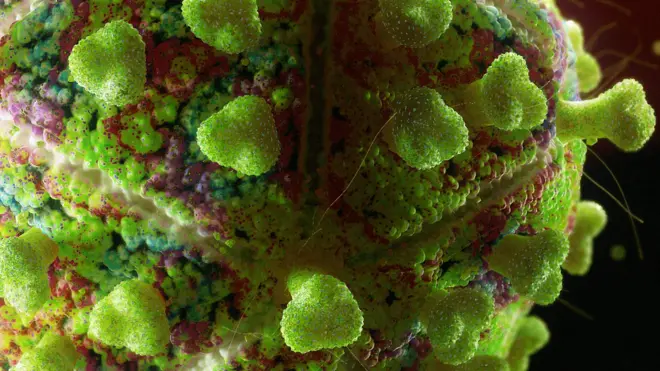 Вирус иммунодефицита человека