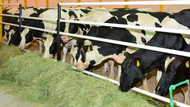 क़तर, दोहा